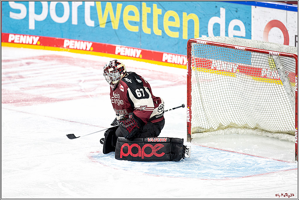 PENNY DEL;  Koelner Haie - Schwenninger Wild Wings; Koeln, 21.03.2021